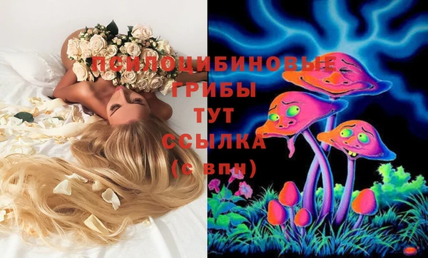 а пвп мука Новодвинск
