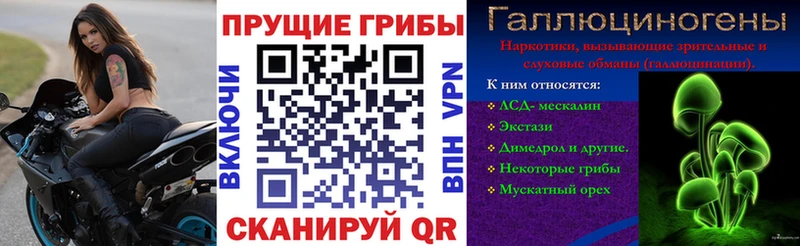 MEGA ссылки Омск Галлюциногенные грибы Psilocybine cubensis где можно купить наркотик